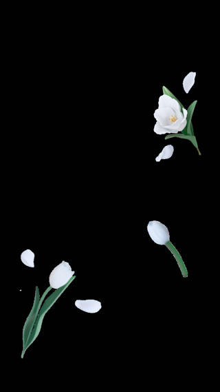 Creative: fc503aba3172d4fc72049f84e415bc2b