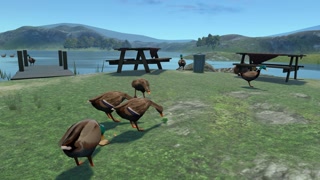 Creative: fc696ff94d5d937171d7138a610d0ed0