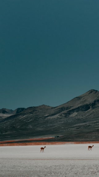 Creative: fc6be4dd127ad50e15e362f883526bbd