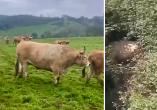 fd0db55e91bb4f2696067b6f6f7cf8a3