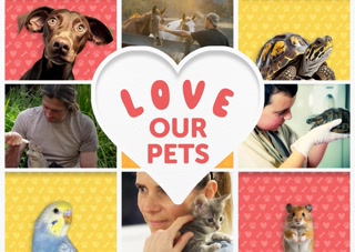 Creative: fd4b5b8d861930f6f662e939a5247573