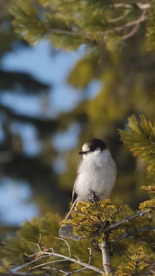 Creative: fddaf49d8c2774aa1a86a9fa66964916