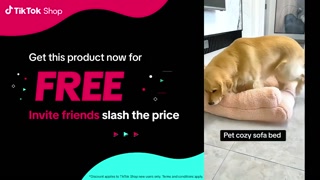 Creative: ff7ea67333f91307cd1645c7e7bb99ed