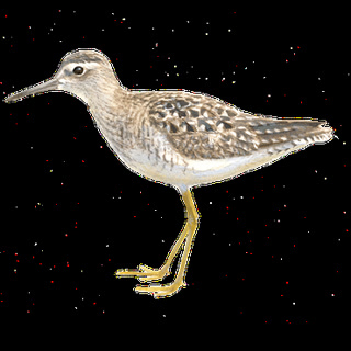 ffde571a217dcbf9c1c96997d257eb3e