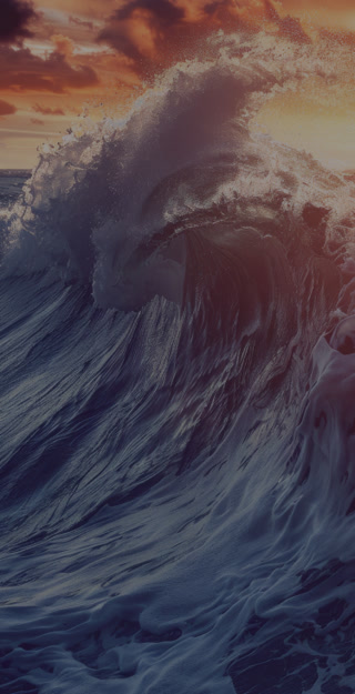 ffe92fd1a3ae469c0b112916207d1f77