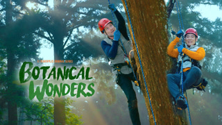 Creative: fff7fe725feb7fcea8e4d500b1b74775